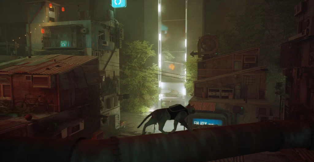 STRAY 